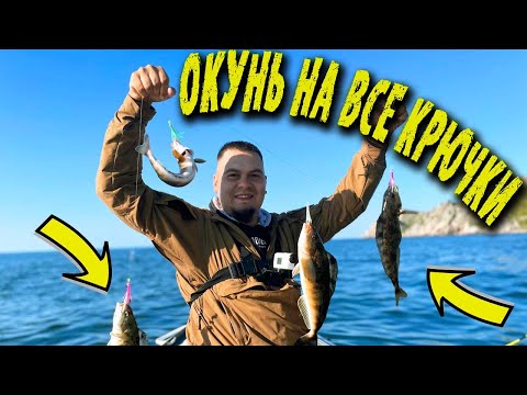 БЕШЕНЫЙ КЛЁВ МОРСКОГО ОКУНЯ \\ 40 КГ ЗА ЧАС