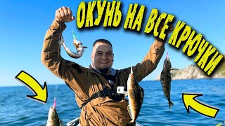 БЕШЕНЫЙ КЛЁВ МОРСКОГО ОКУНЯ \ 40 КГ ЗА ЧАС