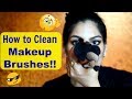 How To Clean Your Makeup Brushes| SIGMA Spa Express Mat and Sigmagic Brush Shampoo