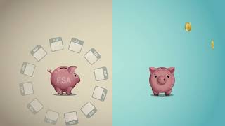 Health FSA Overview Video