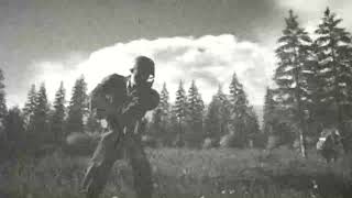 Old WWII combat footage