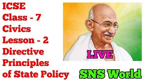 ICSE Class-7 Civics | Lesson 2 - Directive Principles of State Policy | SNS World