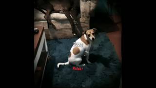 Kaisa Te Extrañó Mucho