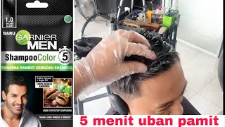 GARNIER GOLDEN BROWN HAIR COLOR | CAT RAMBUT SENDIRI DI RUMAH