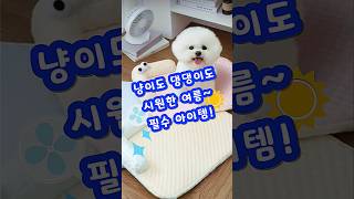 🐶무더운 여름 반려동물 필수 아이템😻 #제품번호 024 프로필에서 확인 #쿠팡추천 #꿀템 #꿀팁 #여름필수템