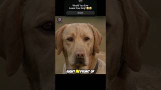 Would You Ever Leave Your Dog?😭🥲 #movie  #viral #shorts