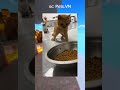 kalo lu ketawa makan popcorn - tahan tawa part 93
