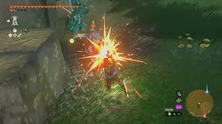 Captain Construct IV, Grinnden Plains | The Legend of Zelda: Tears of the Kingdom