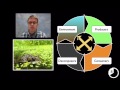 Ecosystem Dynamics: Matter, Energy, and Interactions Among Organisms