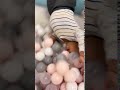 Daredevil toddler with no fear dives down stairs and into ball pit.