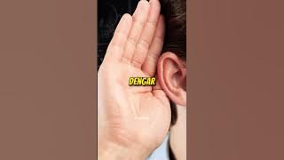 Hanya berdasarkan bunyi ini, boleh tahu umur korang 😱  | #shorts