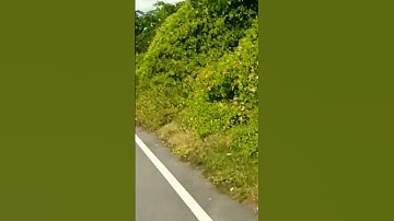 my first mini vlog video #shorts #short #vlog #minivlog