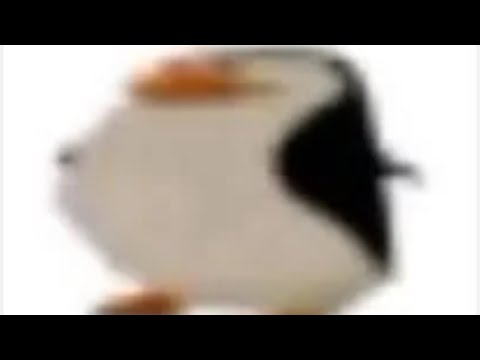 Penguin (very emotional) 😭