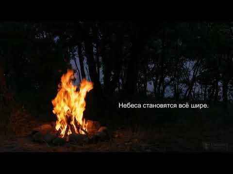 Король и Шут