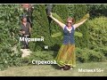 Стрекоза и Муравей. Мюзикл творческой студии &quot;Серебряный век&quot;