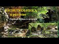 Горные реки Крыма летом. Кизилкобинка. Водопады