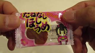 【駄菓子】たねなしほしうめ【梅菓子】