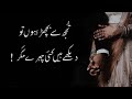 Tujh sa bichra hon tu dekhay hain   best 2lines urdu shero shayari  shayari status  hindi ghazal