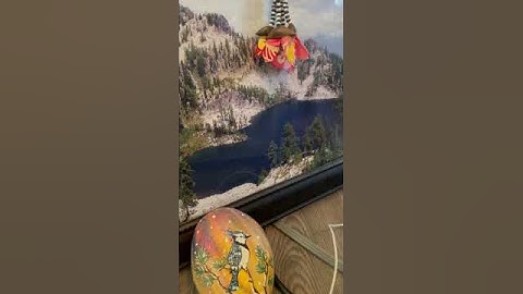 Just Getting Started Original