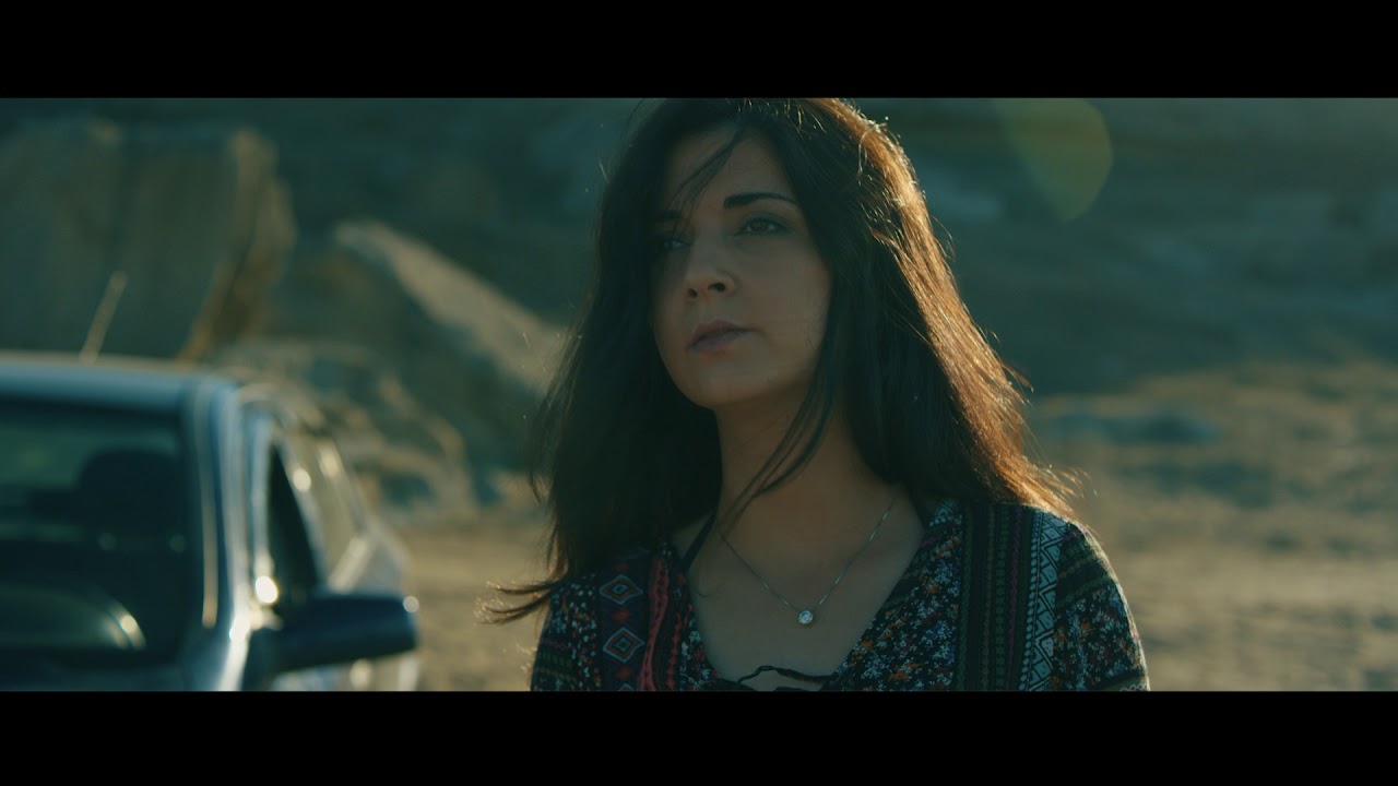 The Salty Sea Dog YouTube