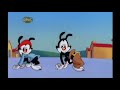 What If Animaniacs Was On CBBC From 2005 2007 What If Animaniacs Was On CBBC From 2005 2007