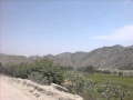 Jamil  aw  taleb  khost