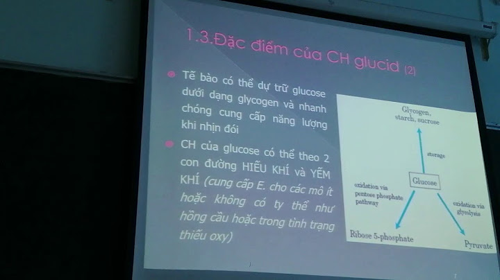 Slide hóa học glucid đại học y dược cần thơ