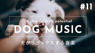 Relaxing Music for Dogs #11【Relieves Separation Anxiety, Sleep Disorders and Boredom】