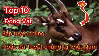 Top 10 loài động vật sắp tuyệt chủng hoặc đã Tuyệt chủng tại Việt Nam - Thế Giới Động Vật .