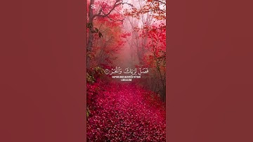 سورة الكوثر #اكسبلور #المصحف #راحة_نفسية #الرحمن