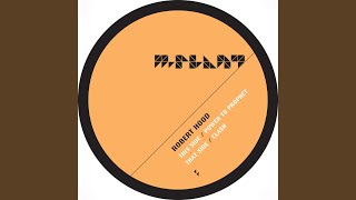 Power to Prohet - Robert Hood