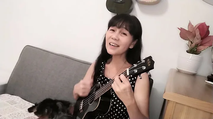 Till There Was You by The Beatles (Ukulele cover)