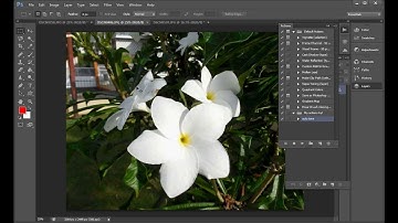 Bulk Watermarking Tutorial - Adobe Photoshop CS6 with subtitles
