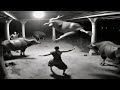 مشاهد مريبة لا يوجد لها تفسير صورتها كاميرات رجال الأمن لن تصدق 