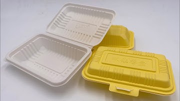 Disposable Takeout Clamshell Food Container Lunch Box Making Automatic Forming Machine
