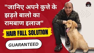 Dog Hair Fall Solution  Expert Tips for a Healthy Dog Coat By Baadal Bhandaari