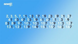 Prime Numbers May Not Be As Random As We Thought, And Why It Matters - Newsy