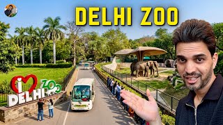 Delhi Zoo 2026  Delhi Ka Chidiyaghar  Tour U0026 Ticket Price  National Zoological Park