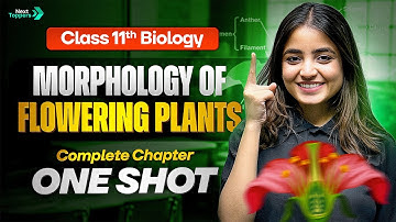 Morphology of Flowering Plants Class 11 One Shot | 11th Biology Chapter-5 Revision | CBSE 2025-26