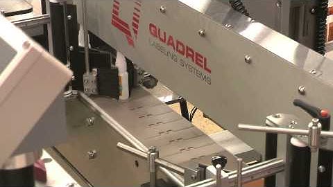 Front / Back & Neck Label Application on Gorilla Glue Container