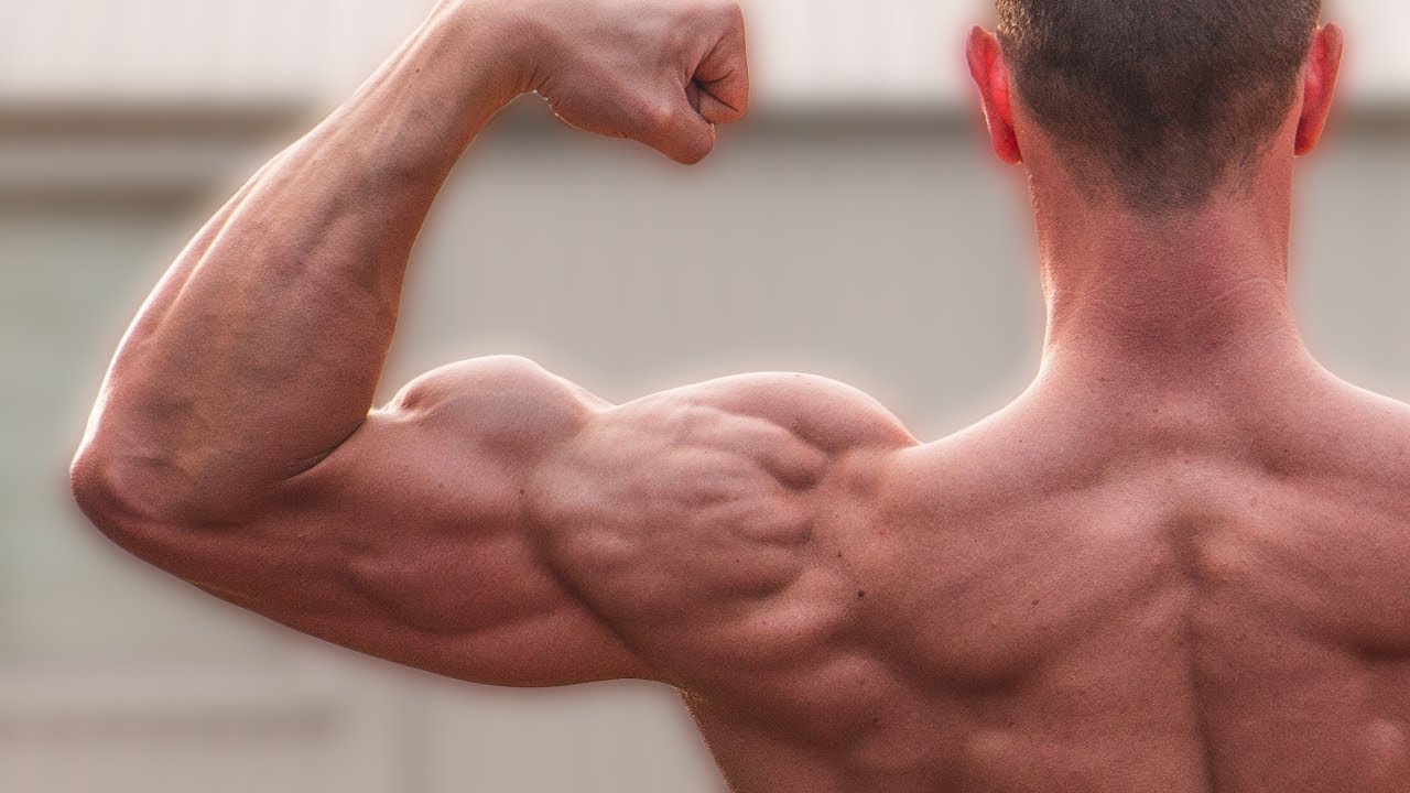 Bigger Biceps & Stronger Skills (BACK LEVER)