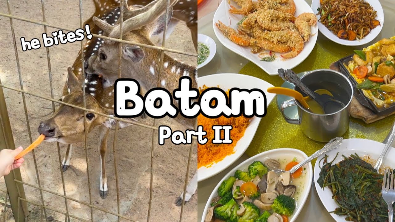 Insane Hotel breakfast buffet | What I eat and do at Batam