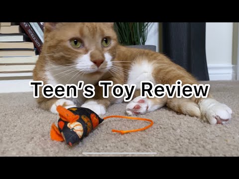 Teen’s Toy Review “Cat ASMR” | CatManJohn