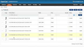 How to use Options in Opencart