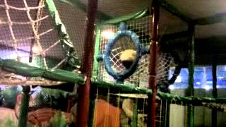 VID%2000002-20140507-1630