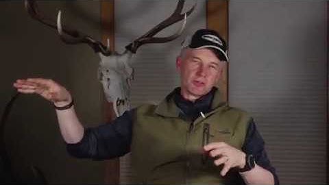 Elk Talk Best of: Using Hunter Pressure to Aid in Your E-Scouting