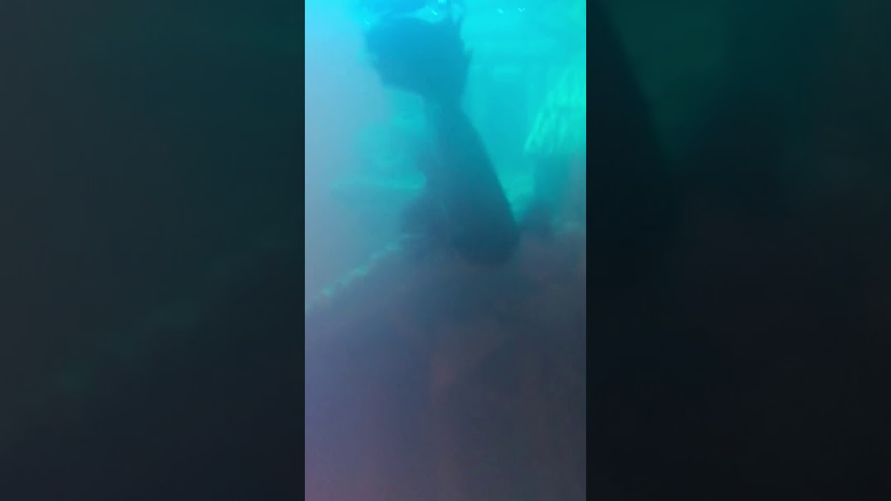 camera iphone 8 plus apk My fish