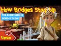 How Bridges Work: Types & Fun Facts π