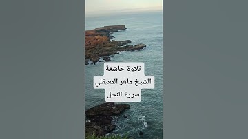 تلاوة خاشعة قران كريم بصوت الشيخ ماهر المعيقلي
