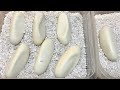 ついに!オオトカゲが卵を産みました!!!